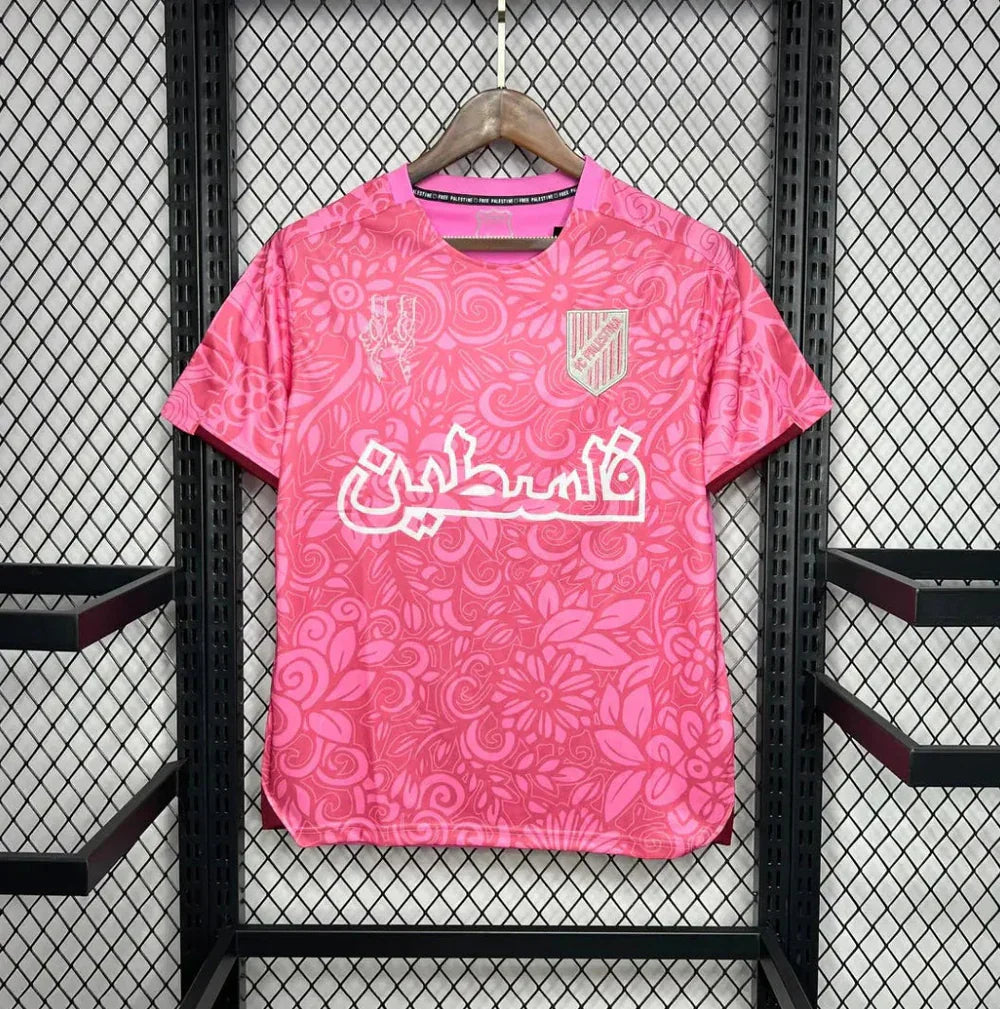 Palestine 2024 Concept